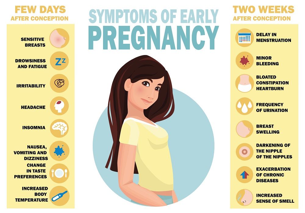 635-First signs of pregnancy